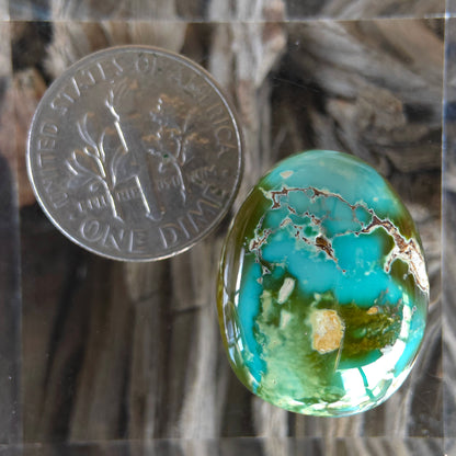 Natural Royston Turquoise Freeform