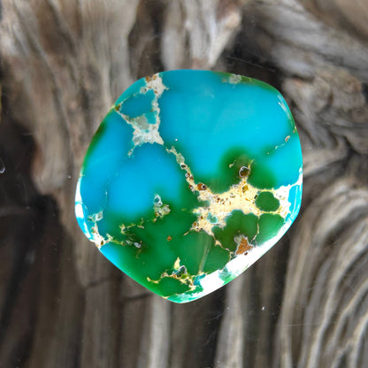 Stabilized Sonoran Gold Turquoise Freeform