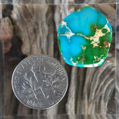 Stabilized Sonoran Gold Turquoise Freeform