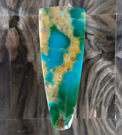 Stabilized Kingman Hardy Pit Turquoise Freeform