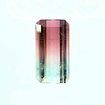 Brazilian Tourmaline (Bicolor) Rectangular Faceted Cut