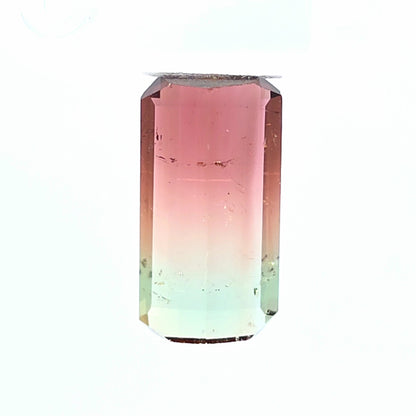 Brazilian Tourmaline (Bicolor) Rectangular Faceted Cut