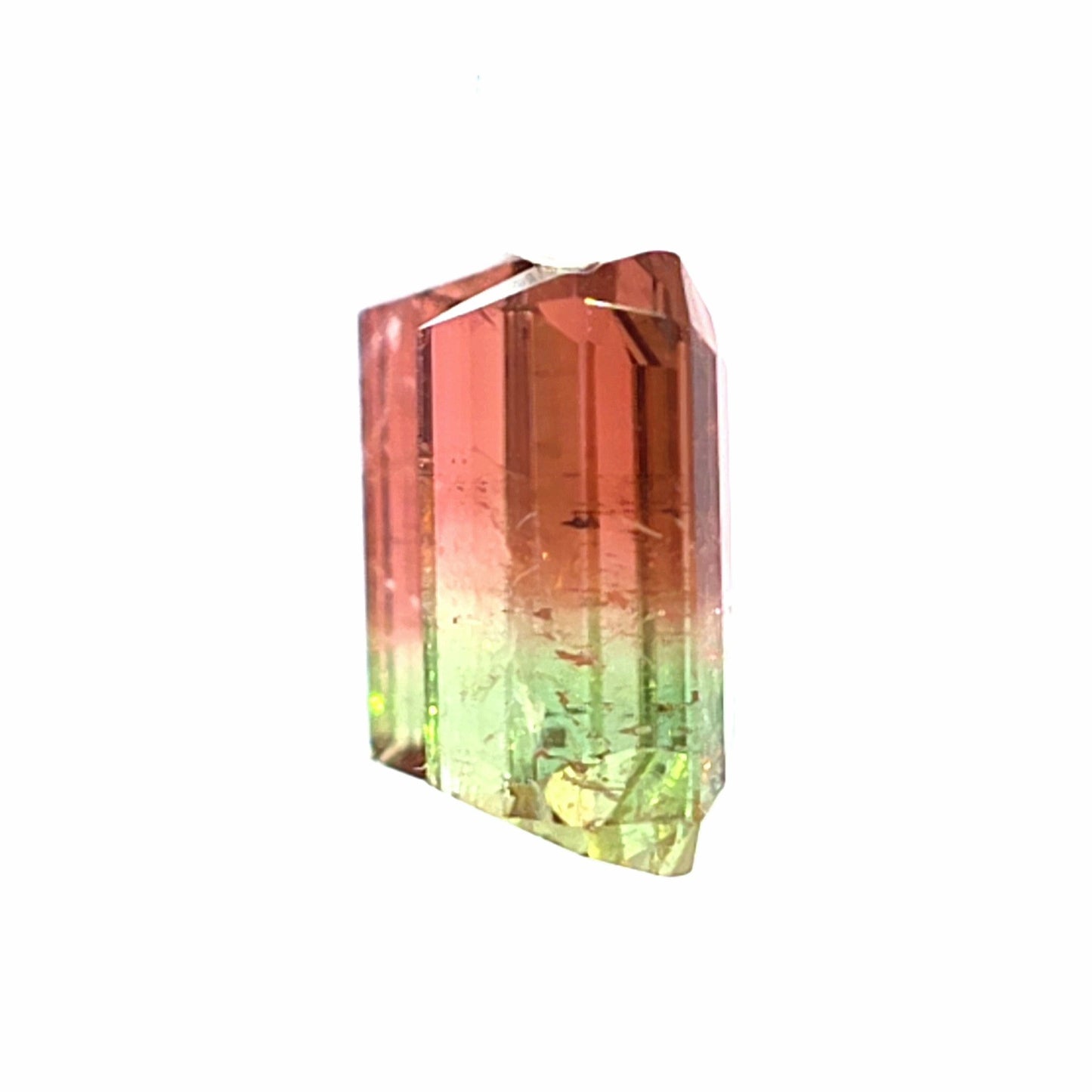 Brazilian Tourmaline (Bicolor) Rectangular Faceted Pair