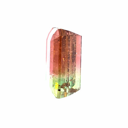 Brazilian Tourmaline (Bicolor) Rectangular Faceted Pair