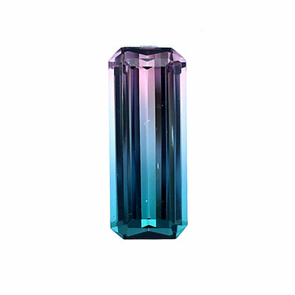 Brazilian Tourmaline (Bicolor) Rectangular Faceted Cut