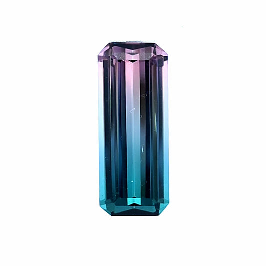 Brazilian Tourmaline (Bicolor) Rectangular Faceted Cut
