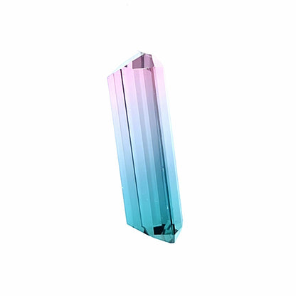 Brazilian Tourmaline (Bicolor) Rectangular Faceted Cut