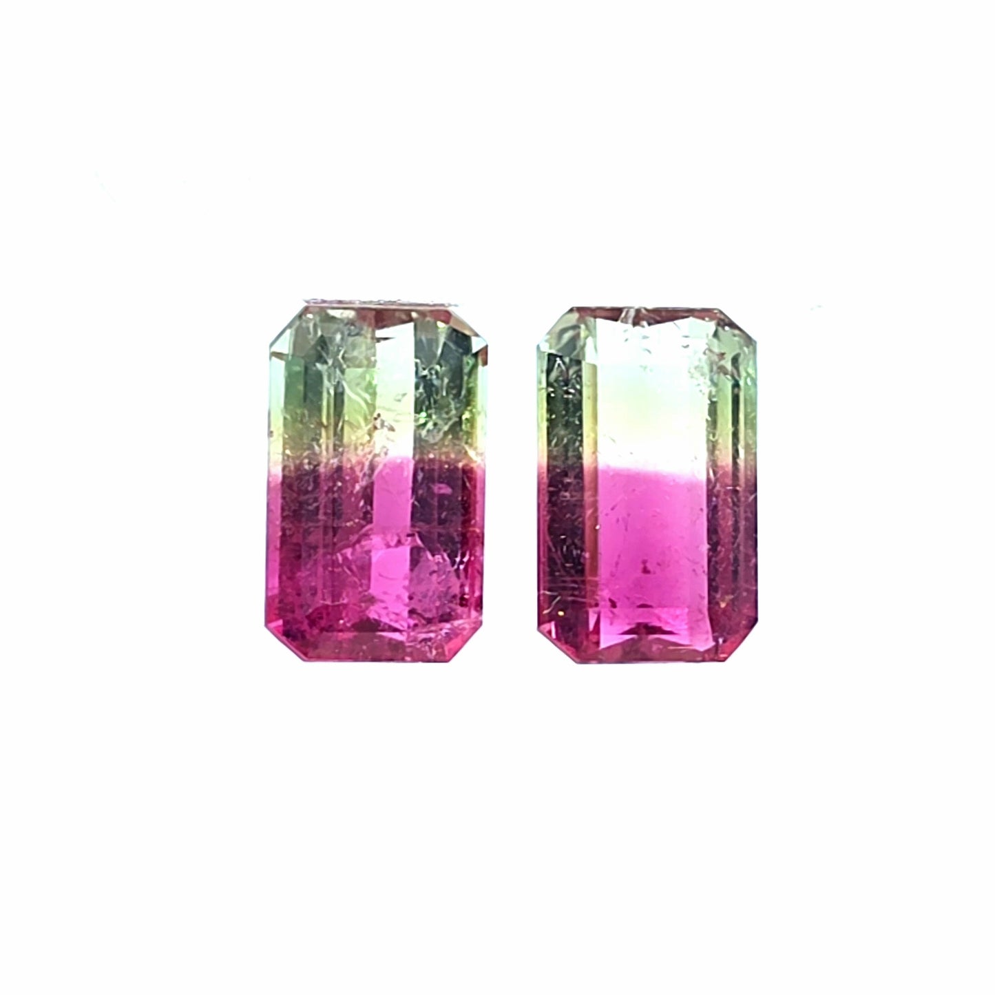 Brazilian Tourmaline (Bicolor) Rectangular Faceted Pair