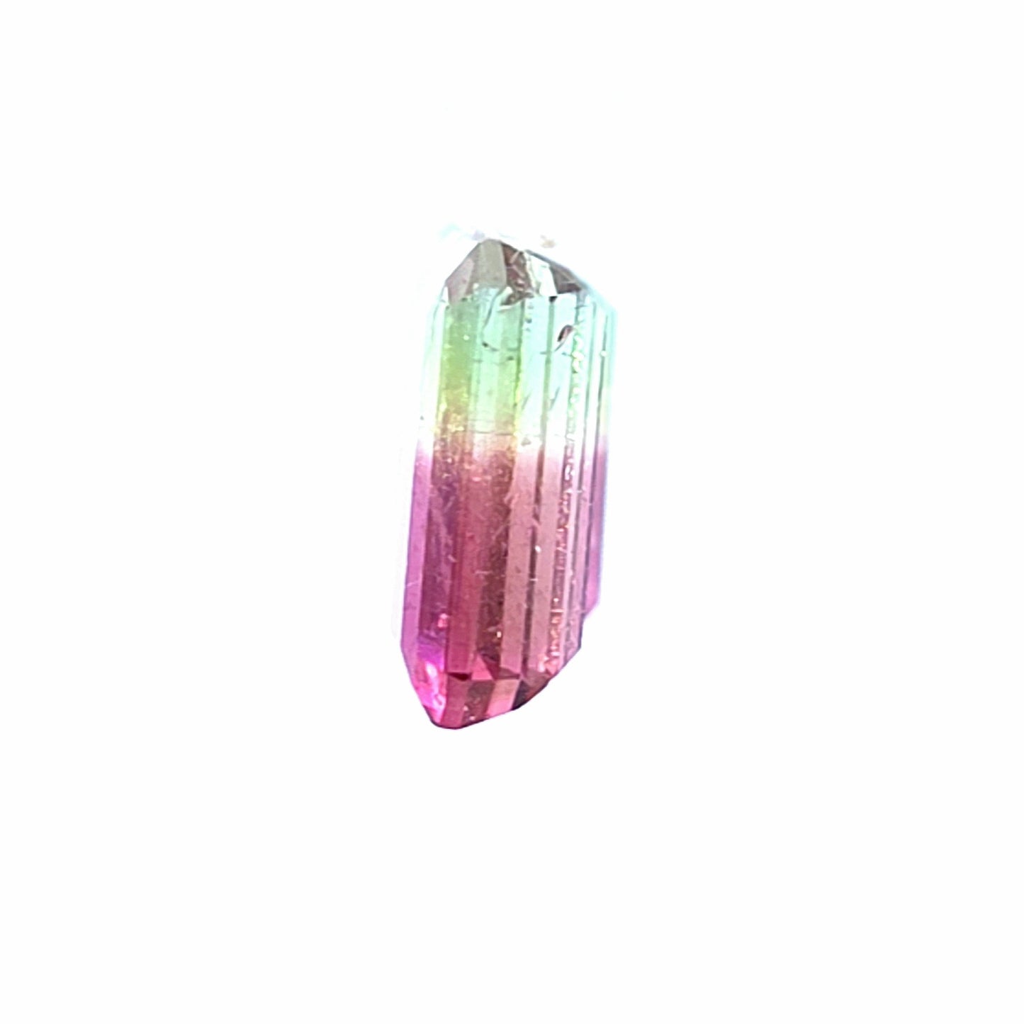 Brazilian Tourmaline (Bicolor) Rectangular Faceted Pair