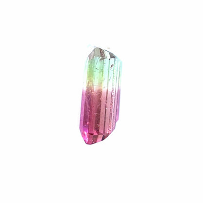Brazilian Tourmaline (Bicolor) Rectangular Faceted Pair