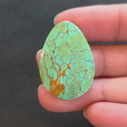 Stabilized Kingman Turquoise Pear-Shaped