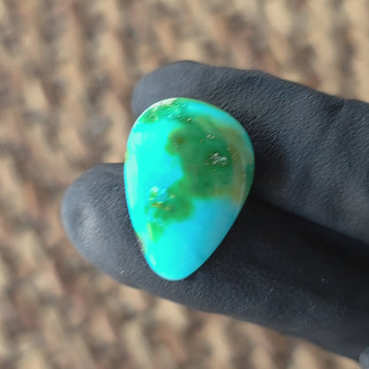 Stabilized Sonoran Gold Turquoise Freeform