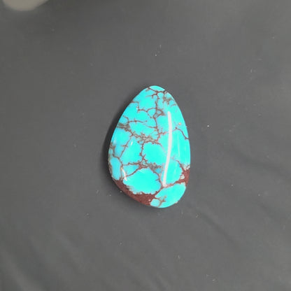 Stabilized Egyptian Prince Turquoise Freeform