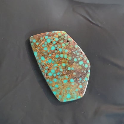 Stabilized Patagonia Turquoise Freeform
