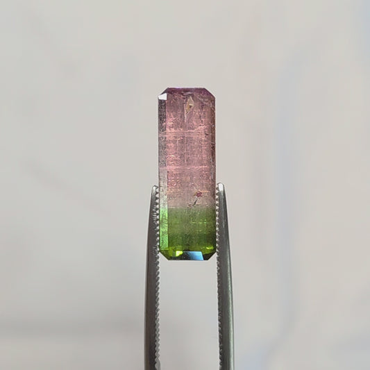 Brazilian Tourmaline (Bicolor) Rectangular Faceted Cut