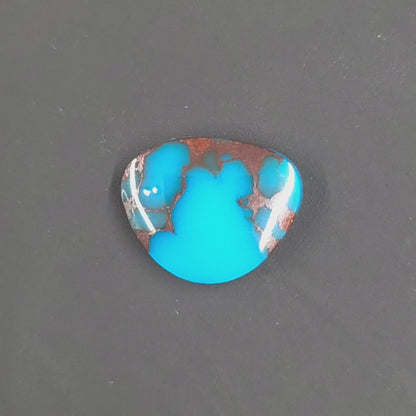 Stabilized Egyptian Prince Turquoise Freeform