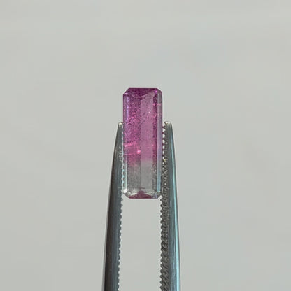 Brazilian Tourmaline (Bicolor) Rectangular Faceted Cut