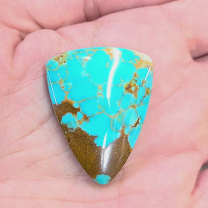 Stabilized Kingman Turquoise Tongue-shaped