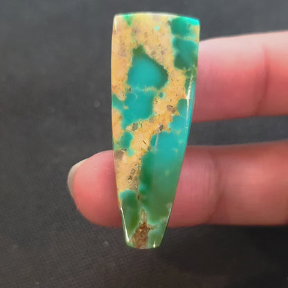 Stabilized Kingman Hardy Pit Turquoise Freeform