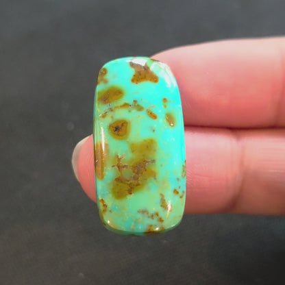 Stabilized Kingman Turquoise Rectangular