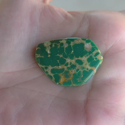 Stabilized Kingman Turquoise Freeform