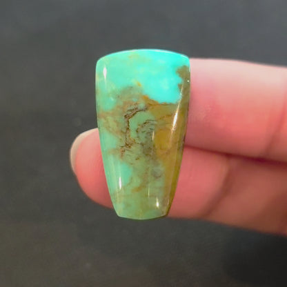 Stabilized Kingman Turquoise Freeform