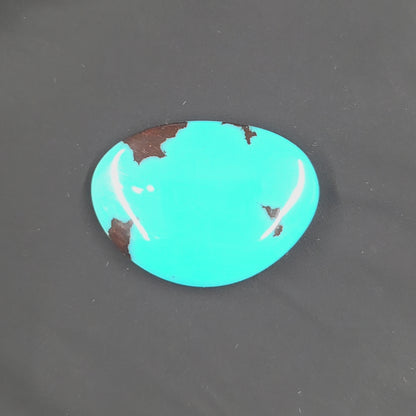 Stabilized Egyptian Prince Turquoise Freeform