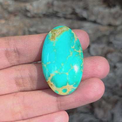 Stabilized Kingman Turquoise Oval