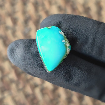 Stabilized Sonoran Gold Turquoise Freeform