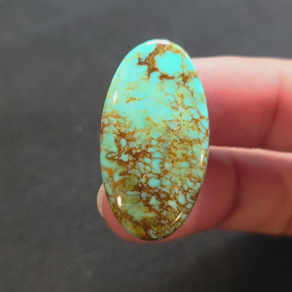 Stabilized Kingman Turquoise Oval