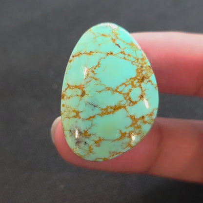 Stabilized Kingman Turquoise Freeform