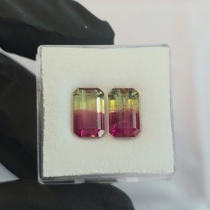 Brazilian Tourmaline (Bicolor) Rectangular Faceted Pair