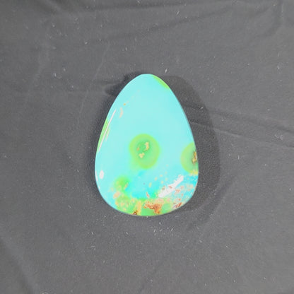 Stabilized Sonoran Gold Turquoise Freeform