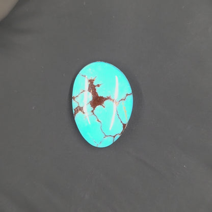Stabilized Egyptian Prince Turquoise Freeform
