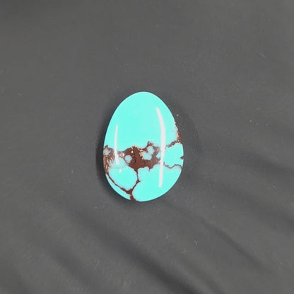 Stabilized Egyptian Prince Turquoise Freeform