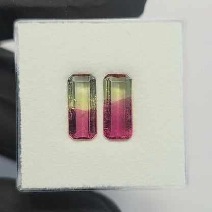 Brazilian Tourmaline (Bicolor) Rectangular Faceted Pair