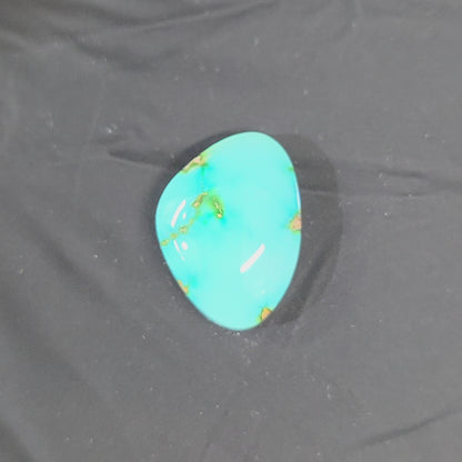 Stabilized Sonoran Gold Turquoise Freeform