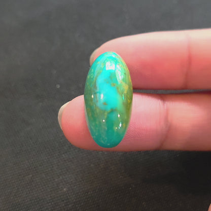 Stabilized Kingman Hardy Pit Turquoise Freeform High-Domed Oval