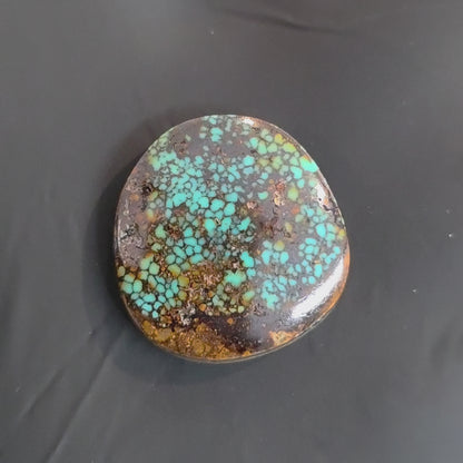 Stabilized Patagonia Turquoise Freeform
