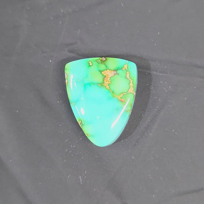 Stabilized Sonoran Gold Turquoise Freeform