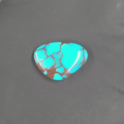Stabilized Egyptian Prince Turquoise Freeform