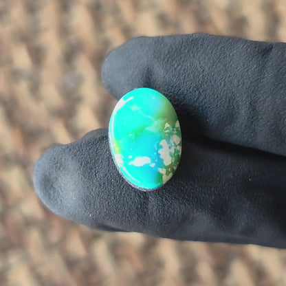 Stabilized Sonoran Gold Turquoise Oval