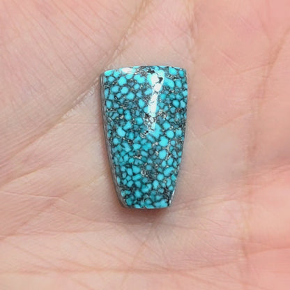 Natural Kingman Black Web Turquoise Freeform