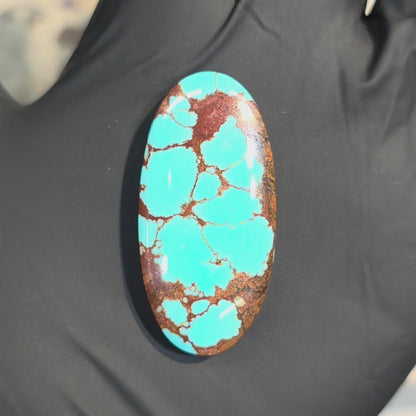 Stabilized #8 Turquoise Oval