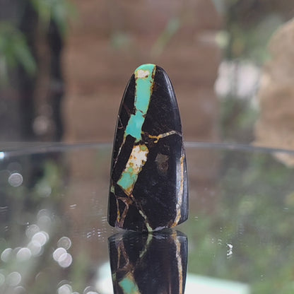Natural Blackjack Turquoise Tongue