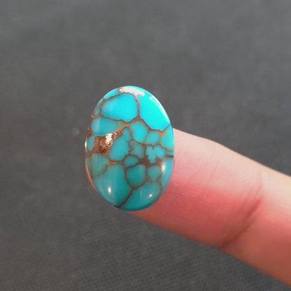 Stabilized Egyptian Prince Turquoise Oval