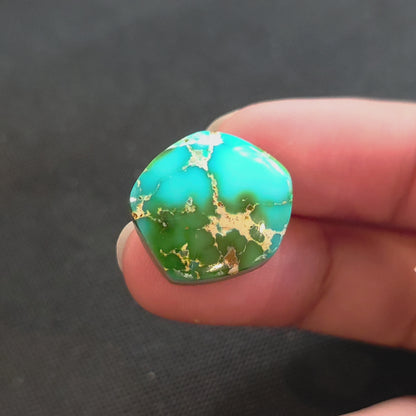 Stabilized Sonoran Gold Turquoise Freeform
