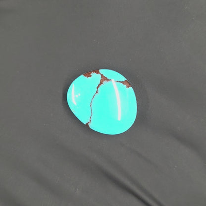 Stabilized Egyptian Prince Turquoise Freeform