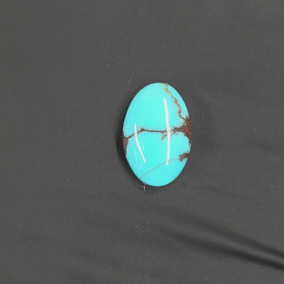 Stabilized Egyptian Prince Turquoise Oval