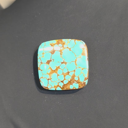 Stabilized #8 Turquoise Square